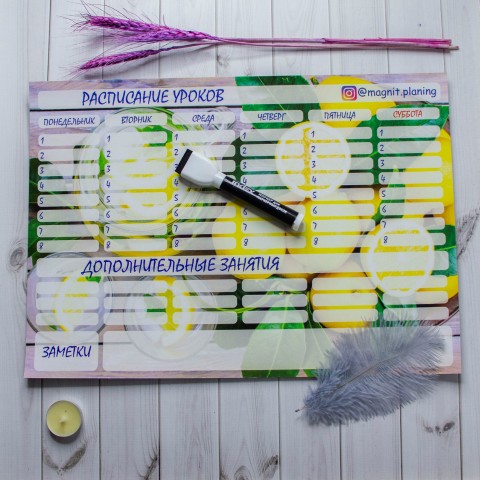 Магнитное расписание уроков 8